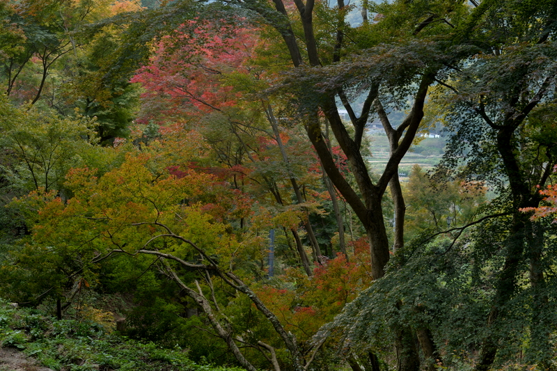 歌仙の滝