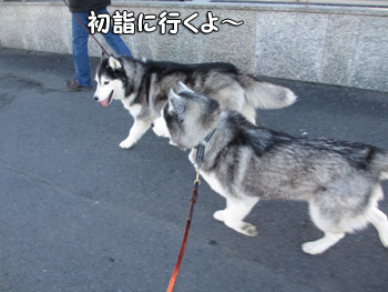 元旦のおふたりさん