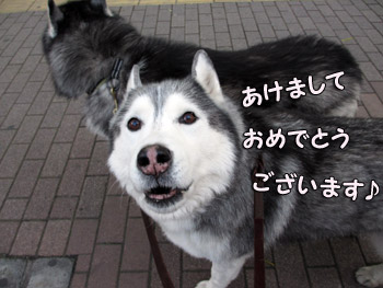 トリュフ