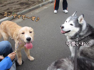 ミンディちゃんとおふたりさん