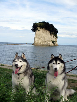 見附島