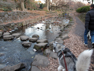 井の頭公園