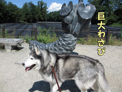 わさびのオブジェ