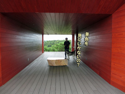 能登ゆめてらす