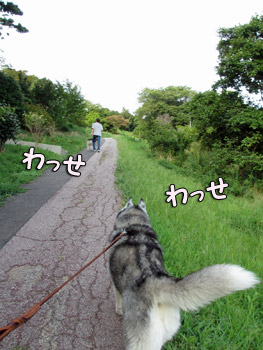 急な坂道