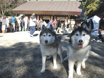 常盤神社