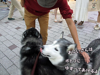 エヘエヘ活動