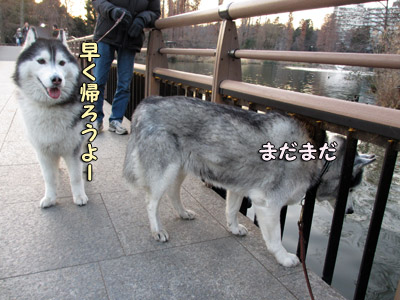 観察タイム