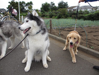 ミンディちゃんとおふたりさん