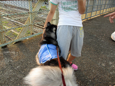 エヘエヘポっちゃん