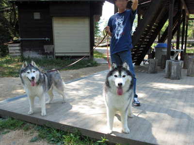 トリュフ&ポトフ