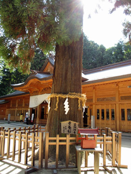 穂高神社