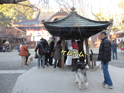 深大寺