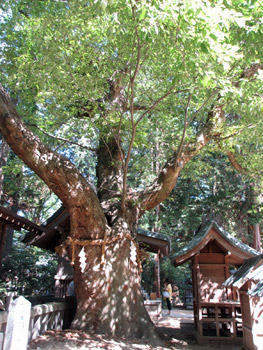 穂高神社