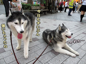 おふたりさん