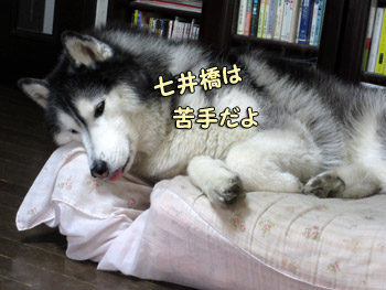 お疲れポトフ