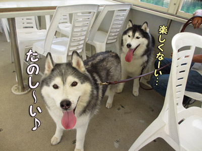 ご機嫌トリュフ&不機嫌ポトフ