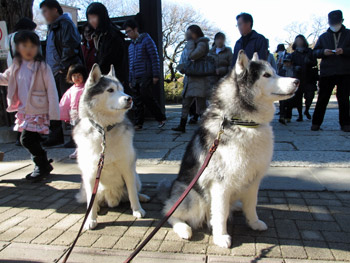 偕楽園