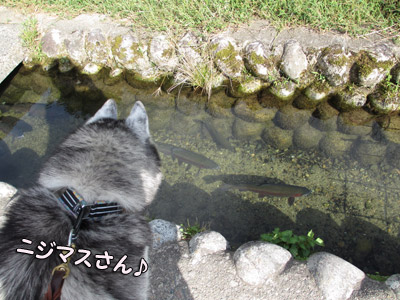 白川郷