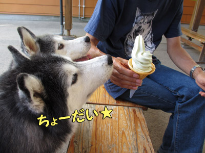 おねだり兄弟