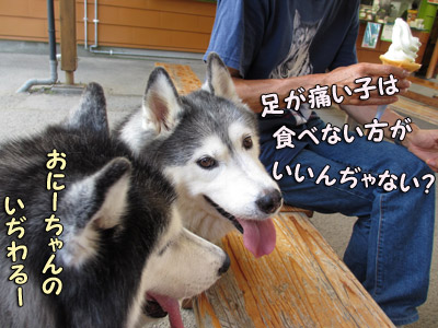 おねだり兄弟