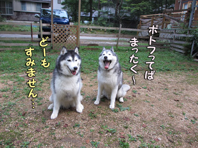 トリュフ&ポトフ