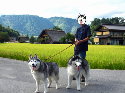 白川郷