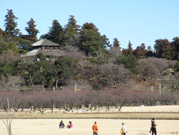 千波公園
