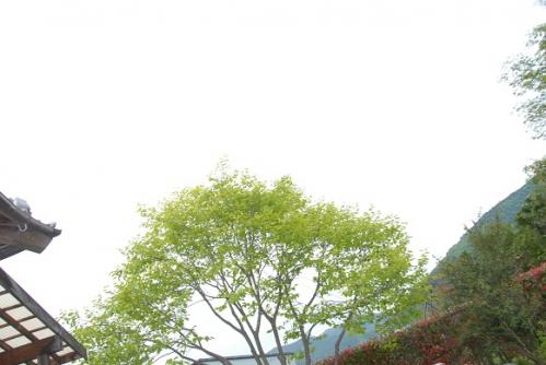 2013-05-10-3.jpg