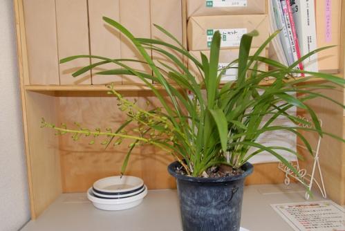 2013-05-11-3.jpg