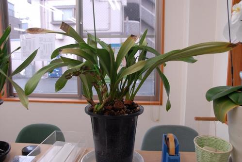 2013-05-11-4.jpg