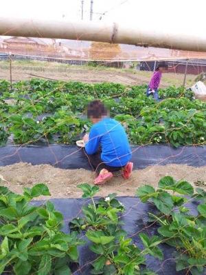 2013-05-12-1.jpg