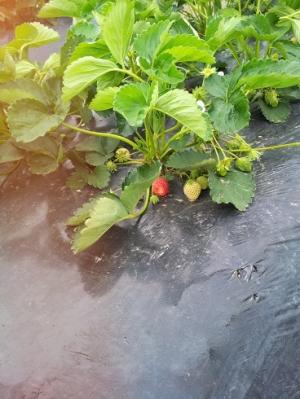 2013-05-12-3.jpg