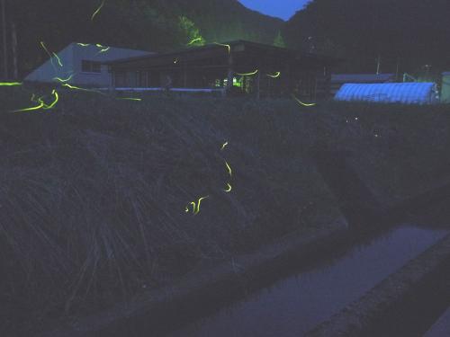 2013-06-28 (3)