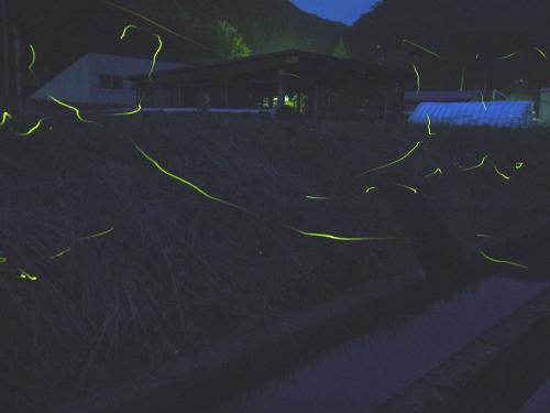 2013-06-28 (4)