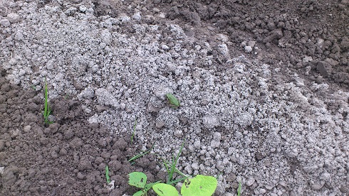 2013-07-03 (2)