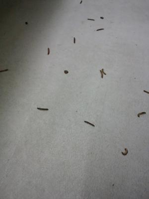 2013-07-05 (1)1