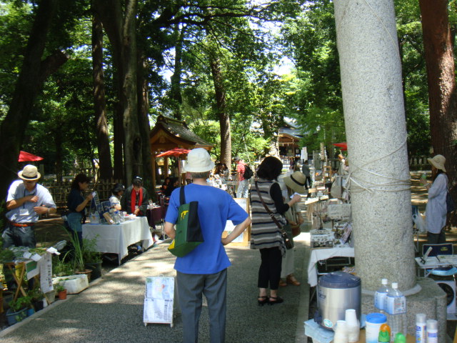 DSC06227.jpg