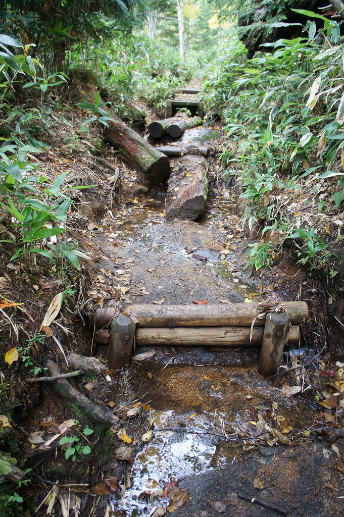 okukinu06.jpg