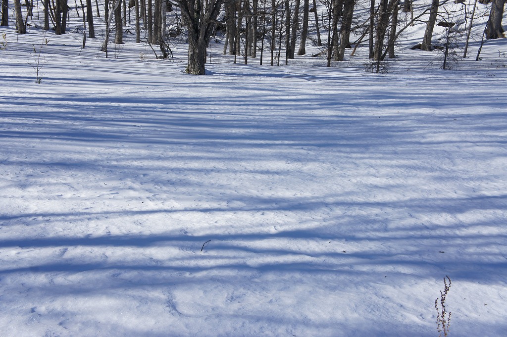snowshoe05.jpg