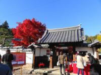 京都2