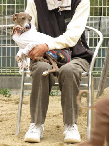 アトム君のじいじさんに抱っこ