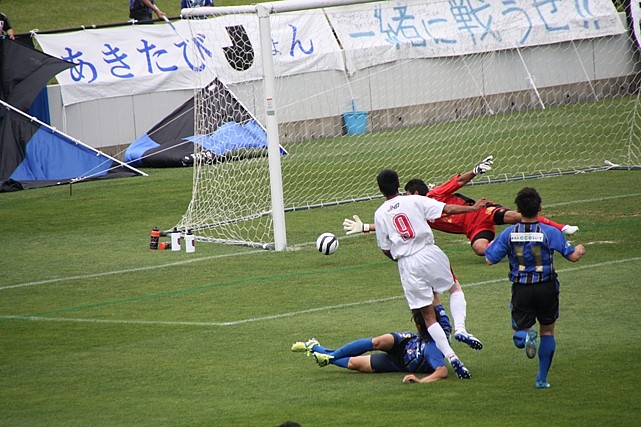 IMG_1186.jpg