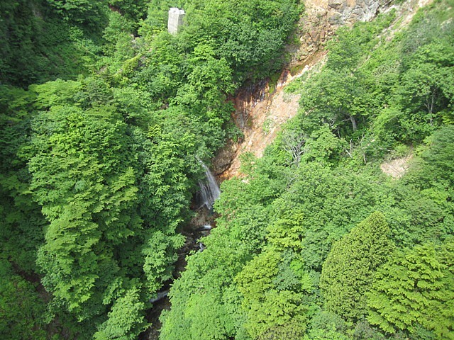 IMG_6390.jpg