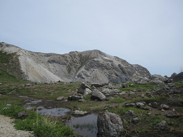 IMG_6401.jpg