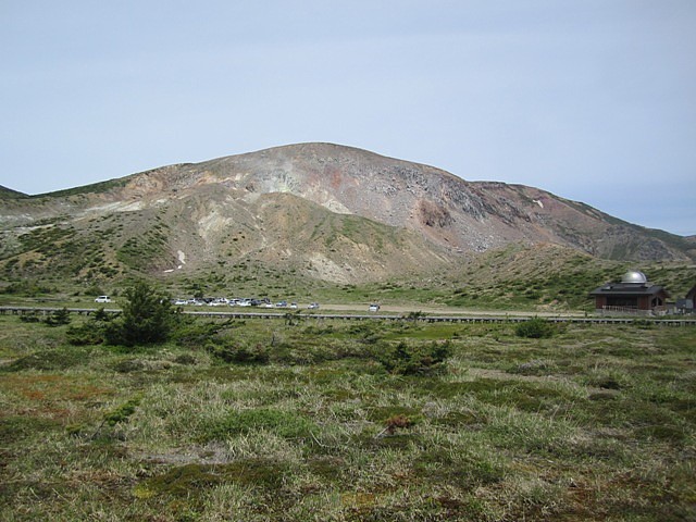 IMG_6403.jpg
