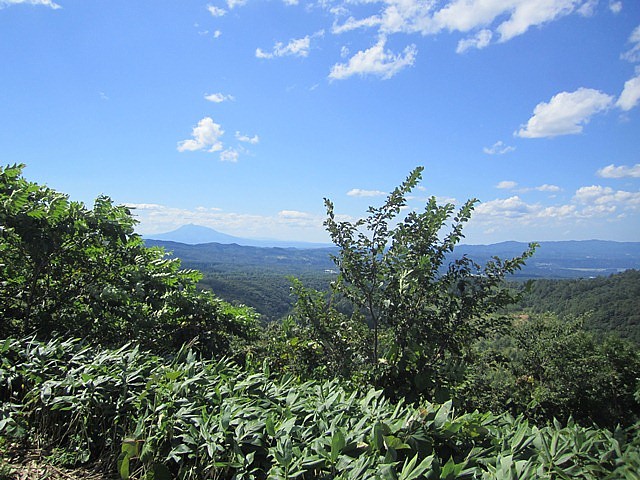 IMG_7200.jpg