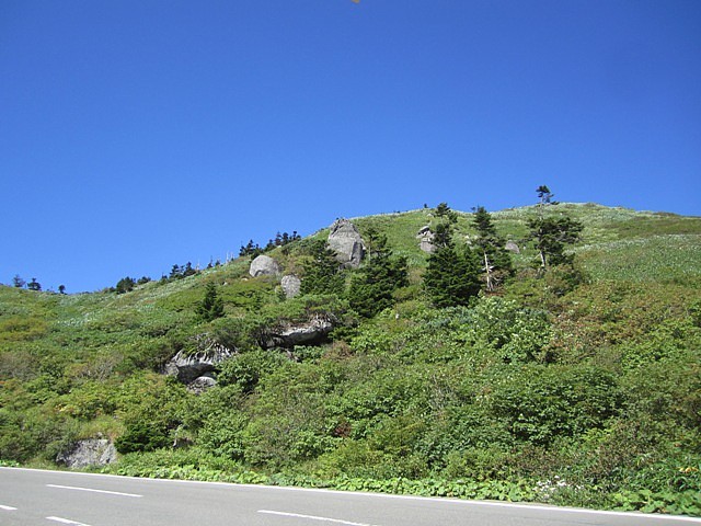 IMG_7588_20120917205720.jpg