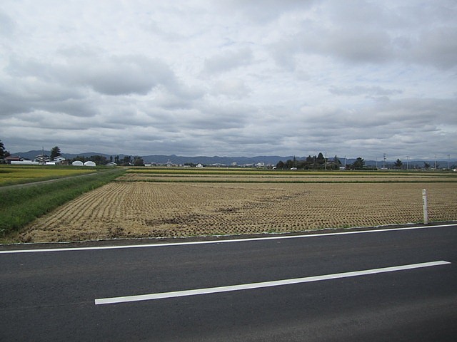IMG_7797_20121002120249.jpg