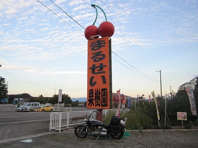 まるせい
